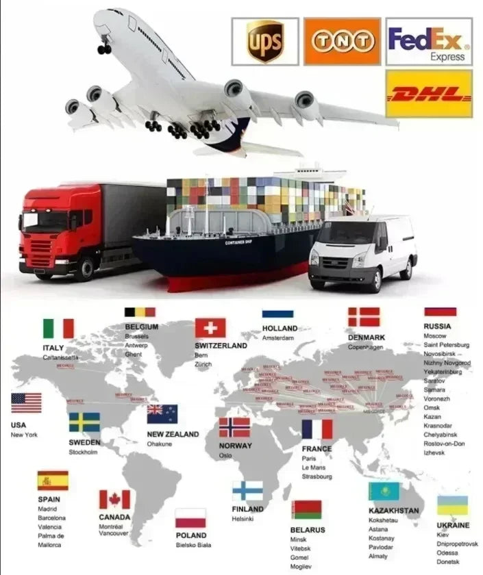 Polo Hooded Sweatshirt