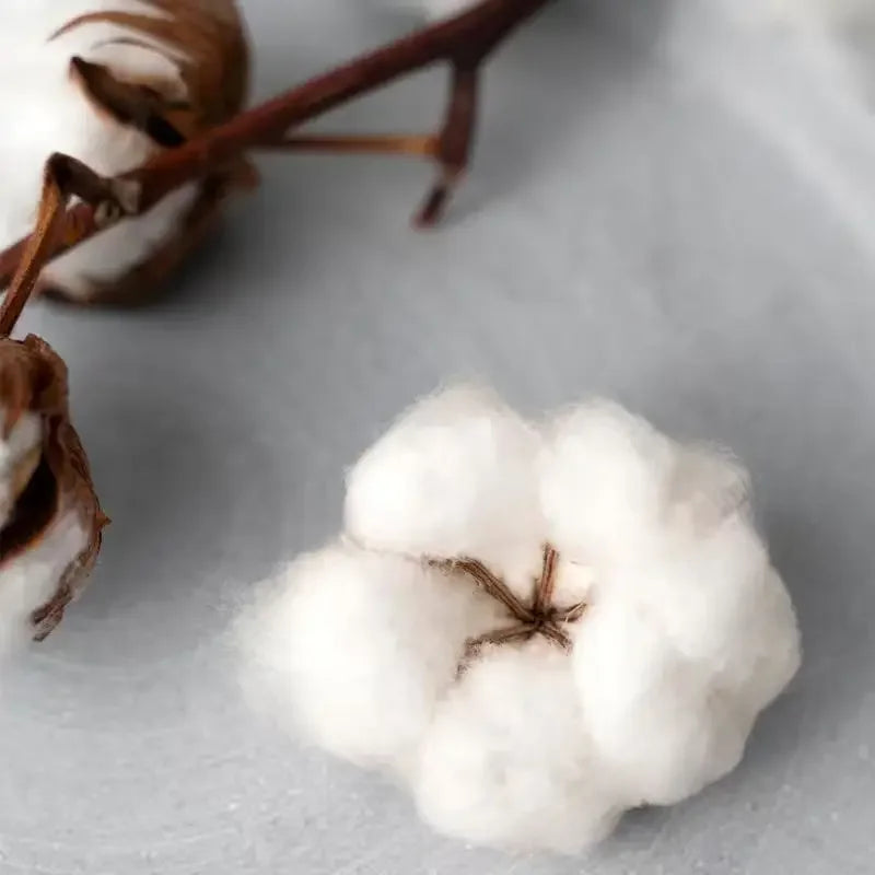 Compass Print Casual Fashion Men Pure Cotton Hoodie Loose Street Retro Comfortable High Quality Hoodie Unisex Autumn and Winter